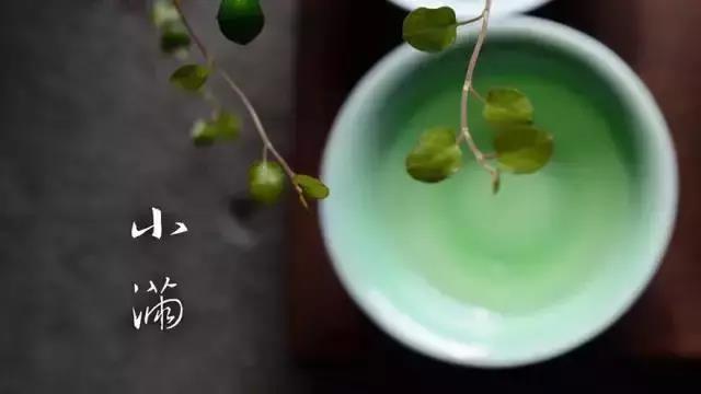 小滿小滿，麥粒漸滿