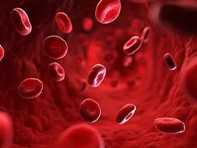 體感振動音樂療法與血液循環(huán)